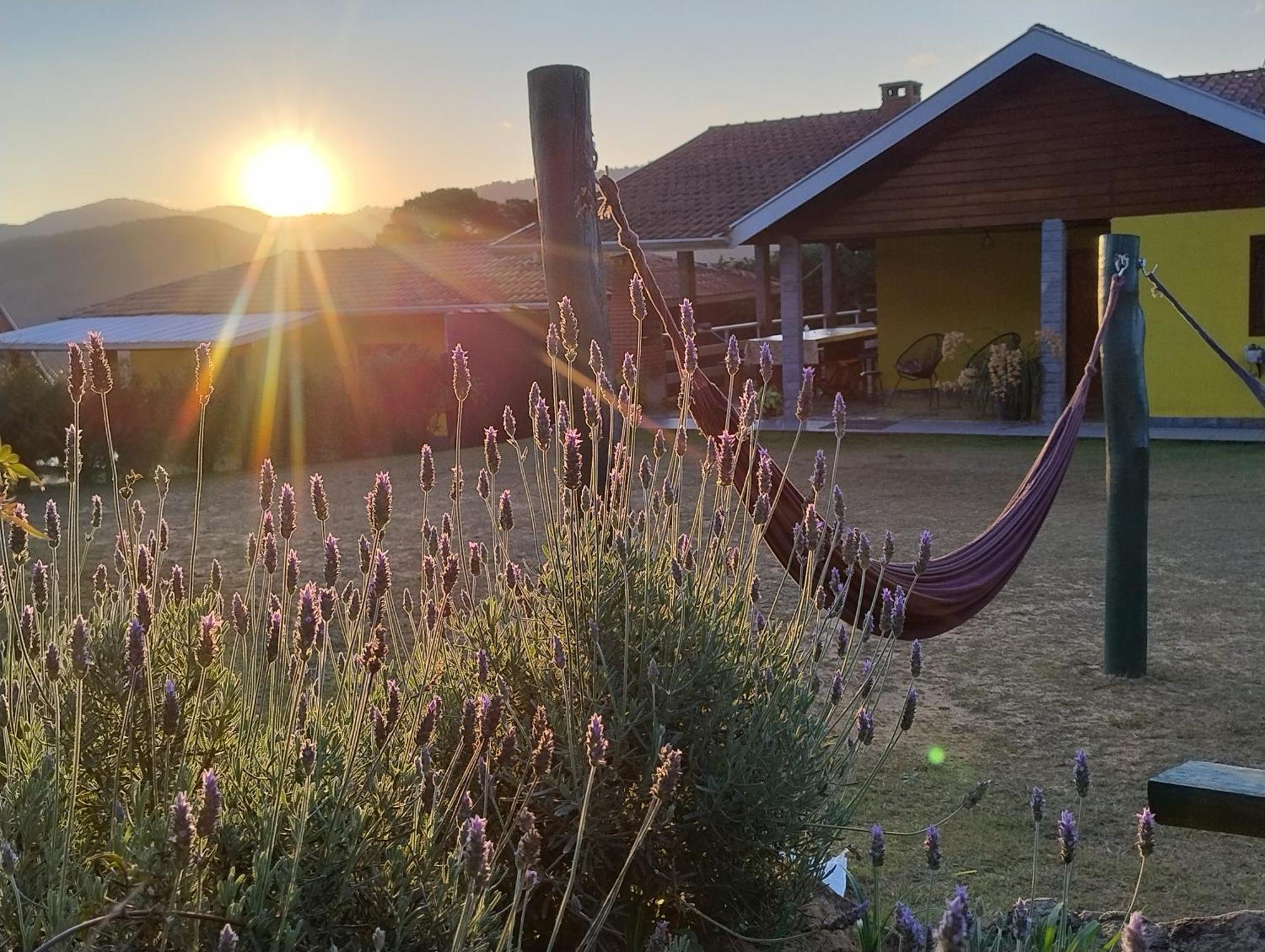 Campos do Jordão Casas Boa Vistaヴィラ エクステリア 写真