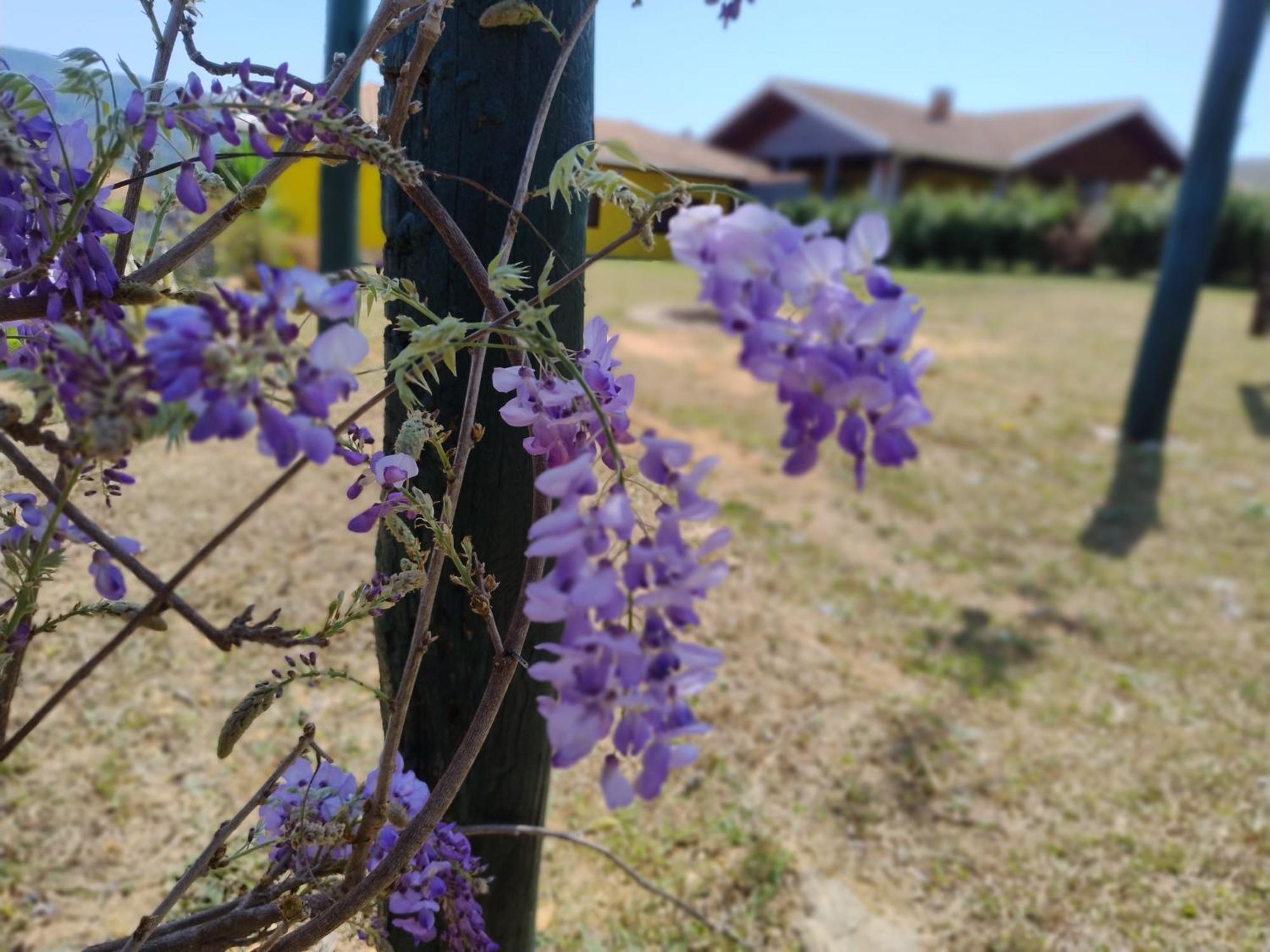 Campos do Jordão Casas Boa Vistaヴィラ エクステリア 写真