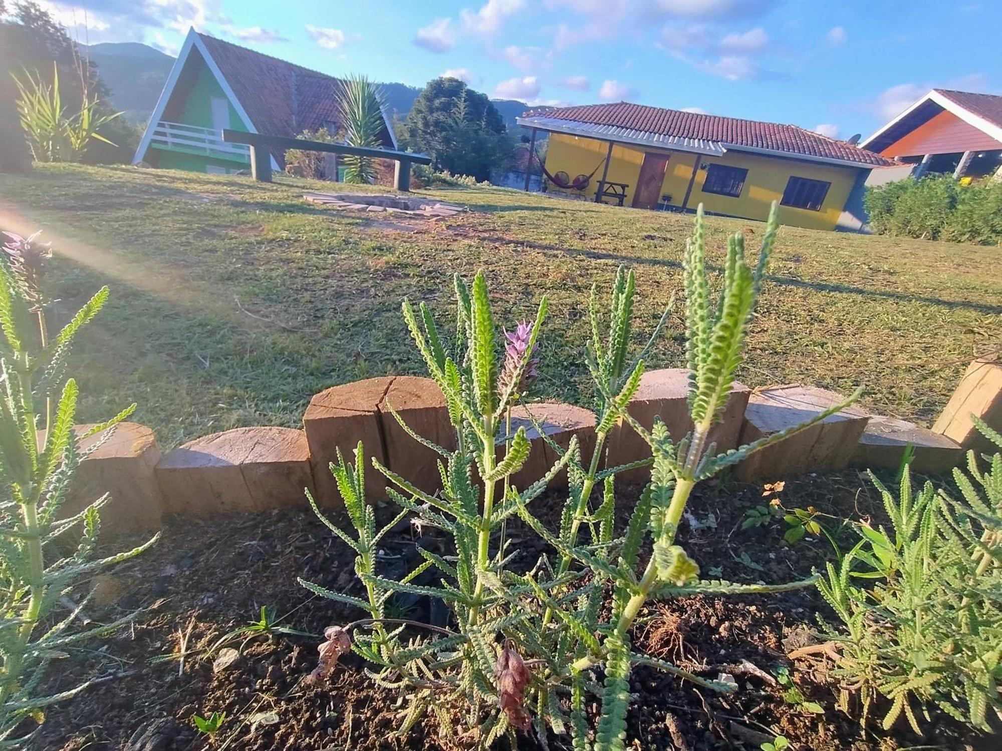 Campos do Jordão Casas Boa Vistaヴィラ エクステリア 写真